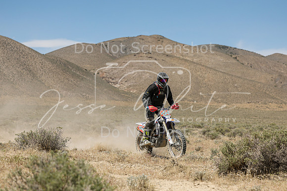 IMG_4487-n54t