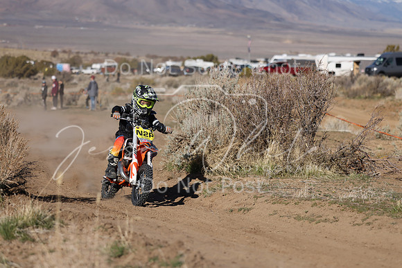 IMG_5415-n2p