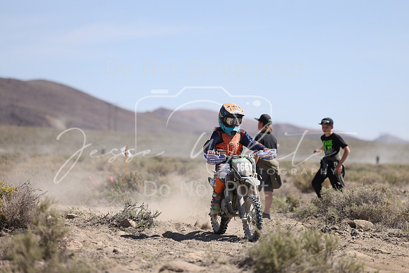 IMG_2484-166y