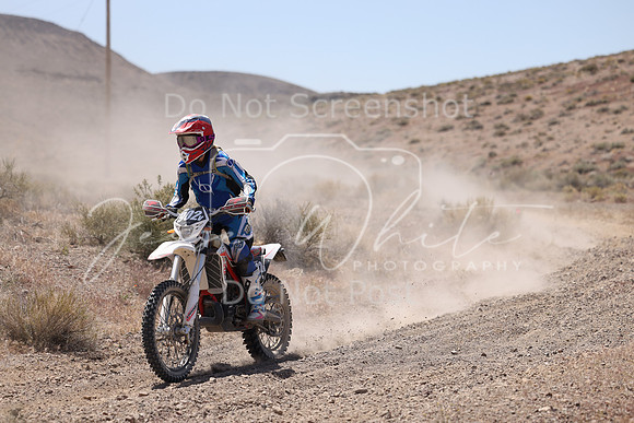 IMG_2961-902v