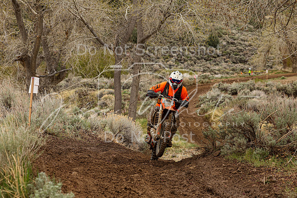 IMG_9743-00