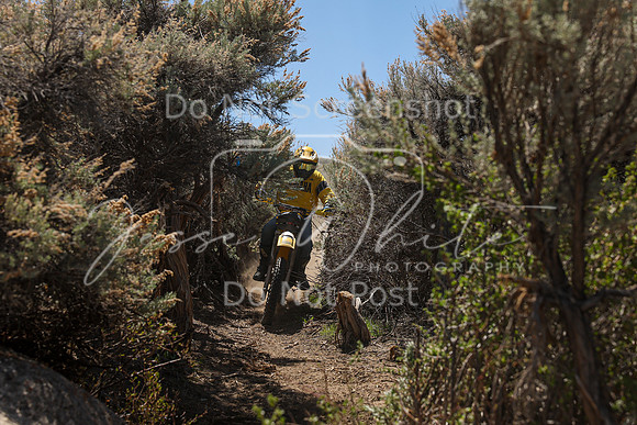 IMG_0213-30b