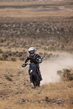IMG_0592-n3