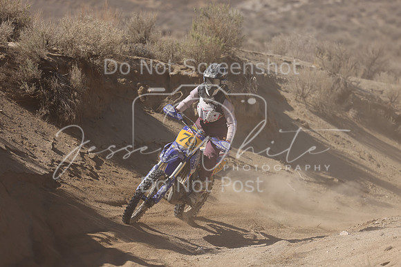 IMG_7085-79v