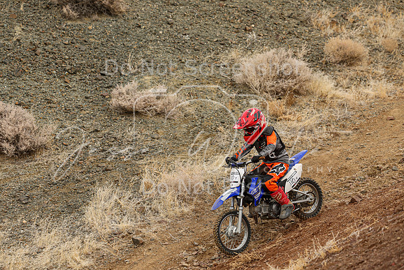 IMG_9911-110y