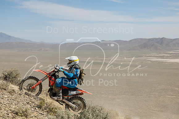 IMG_3340-n40r
