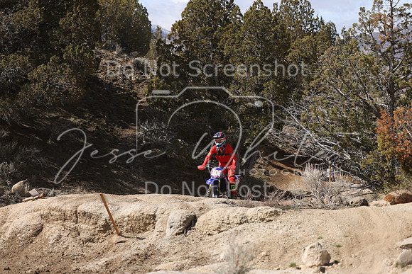 IMG_9227-x606
