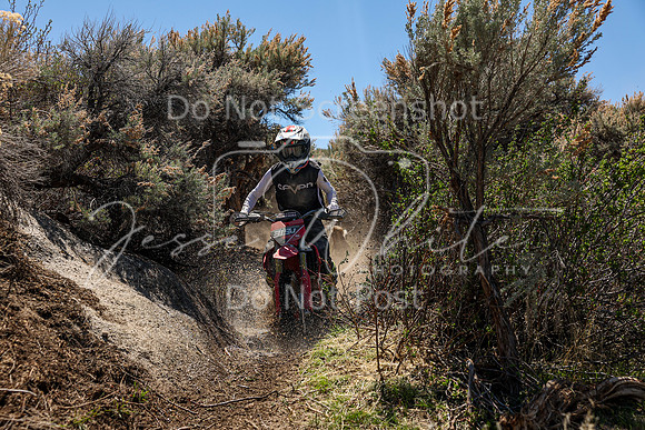 IMG_0298-319j