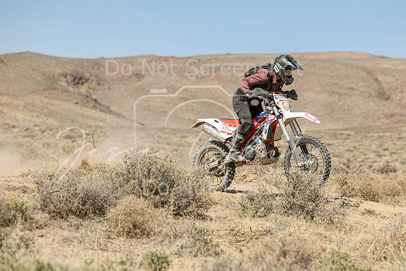 IMG_8289-188w