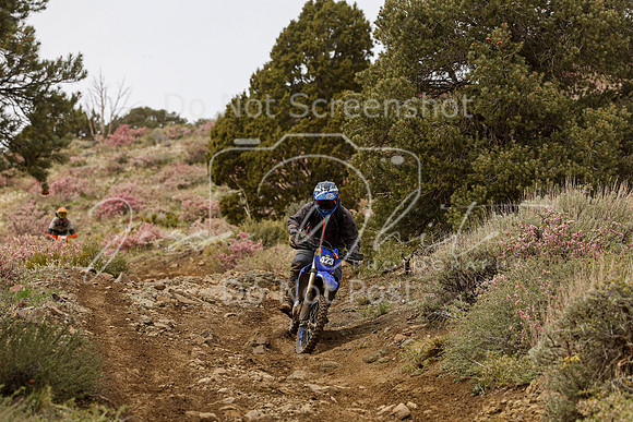 IMG_2223-423