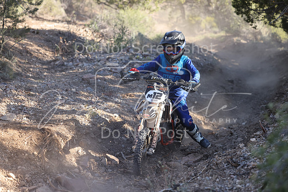 IMG_3305-m12