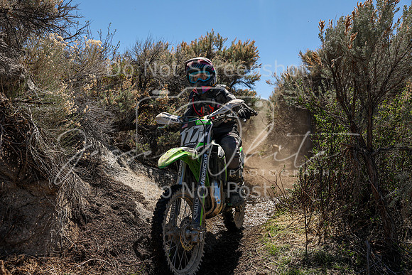 IMG_0553-117v