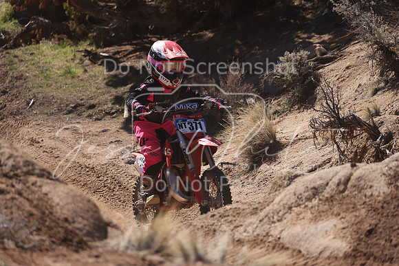IMG_5849-nt371