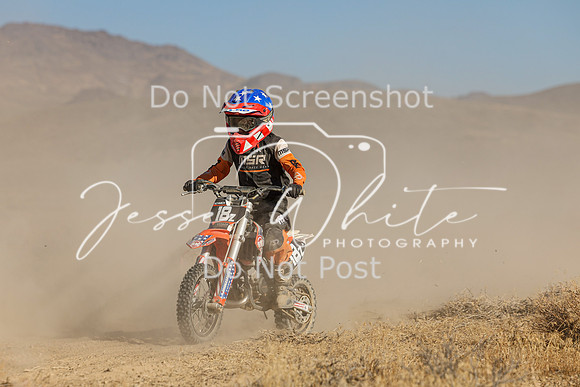 IMG_9972-18z