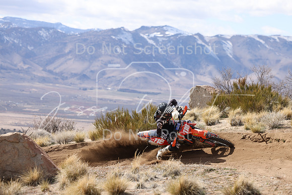 IMG_1595-x118