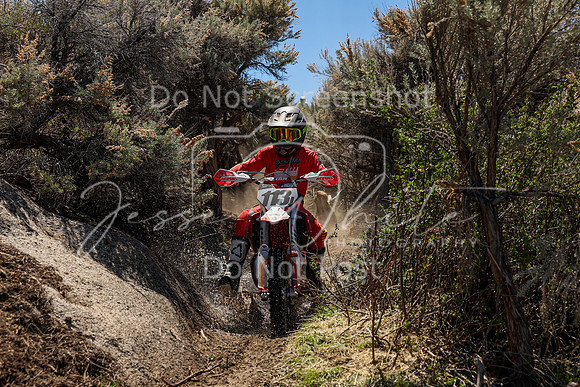 IMG_0234-113j