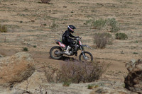 IMG_8297