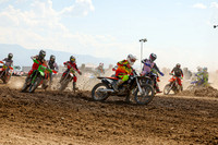 IMG_9662-310x
