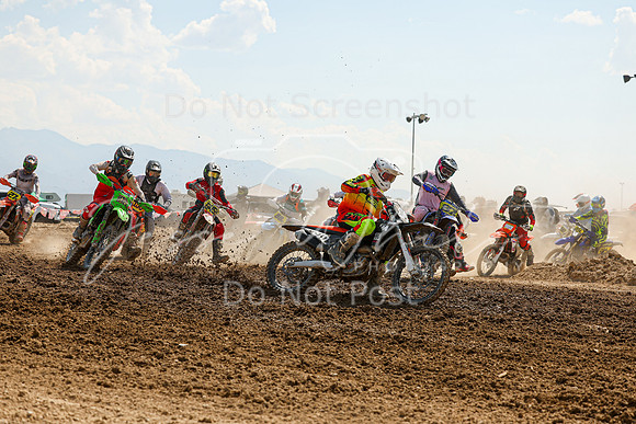 IMG_9662-310x