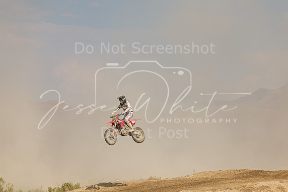 IMG_0388-348n