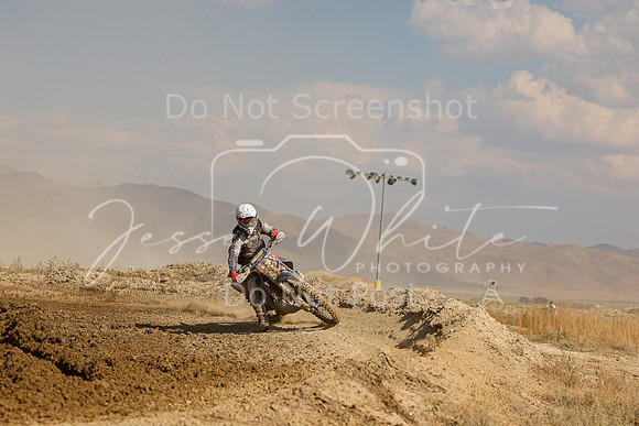IMG_0439-312