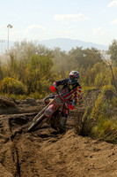IMG_0719-724p