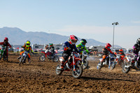 IMG_7272-