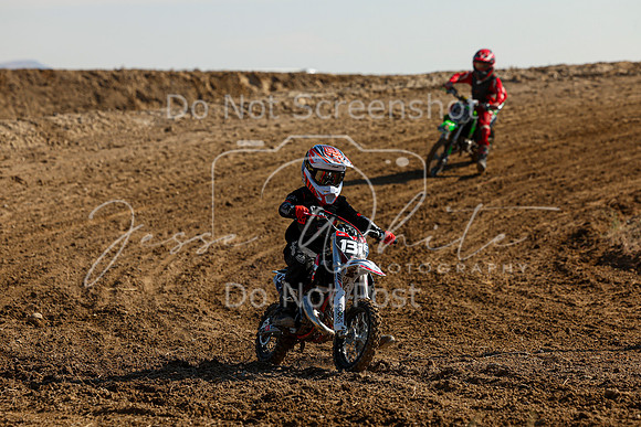 IMG_7337-