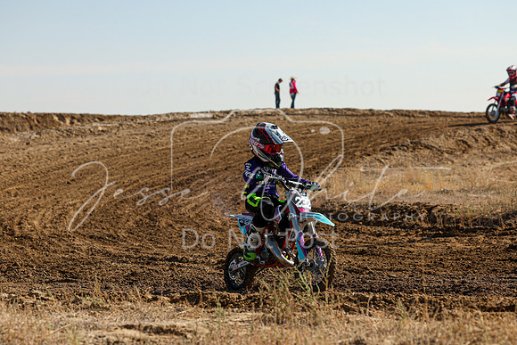 IMG_7312-