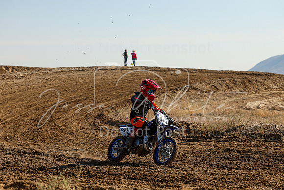 IMG_7333-