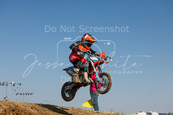 IMG_7404-
