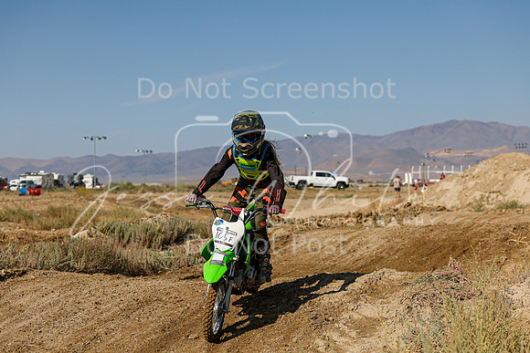 IMG_7441-