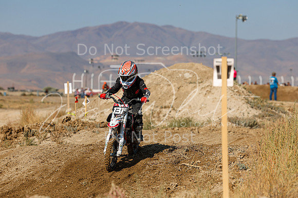 IMG_7461-