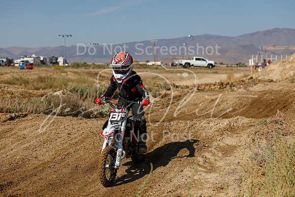 IMG_7463-