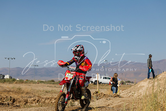 IMG_7525-