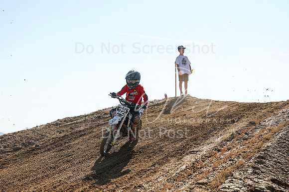 IMG_7564-