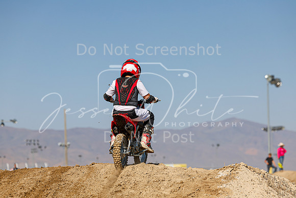 IMG_7624-