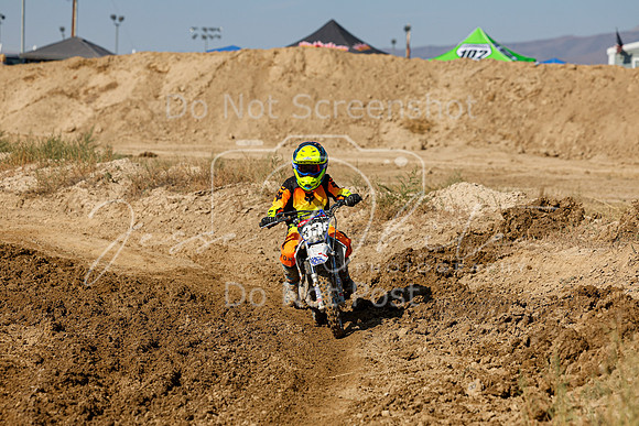 IMG_7643-