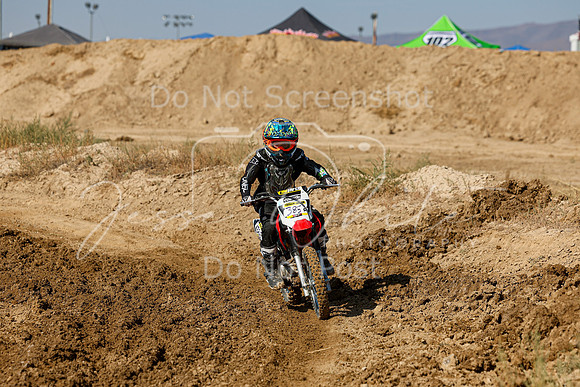 IMG_7650-