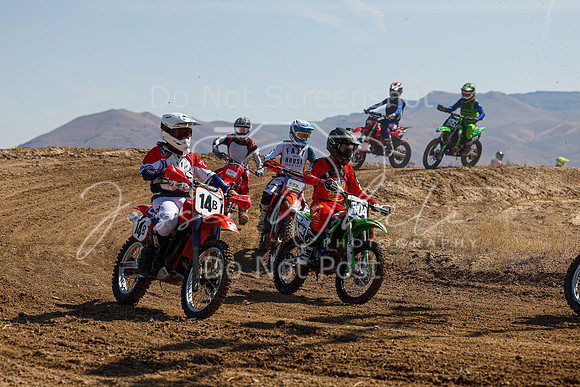 IMG_7731-