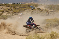 IMG_8210-
