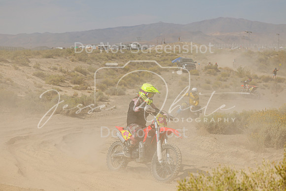 IMG_8245-