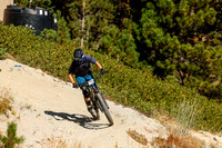 Stage 4b
