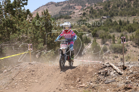 IMG_4222-452p
