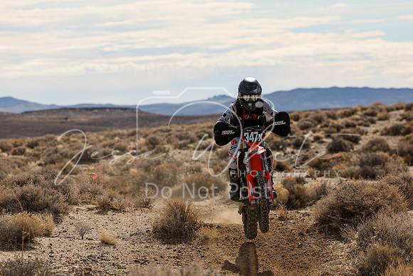 IMG_3113-347x