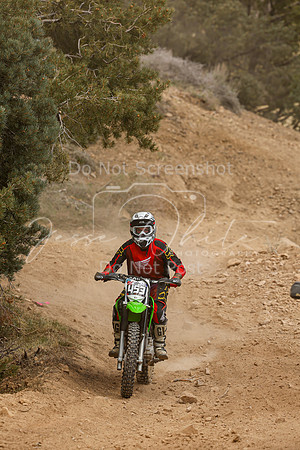 IMG_2182-453