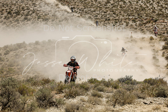 IMG_3258-n3m