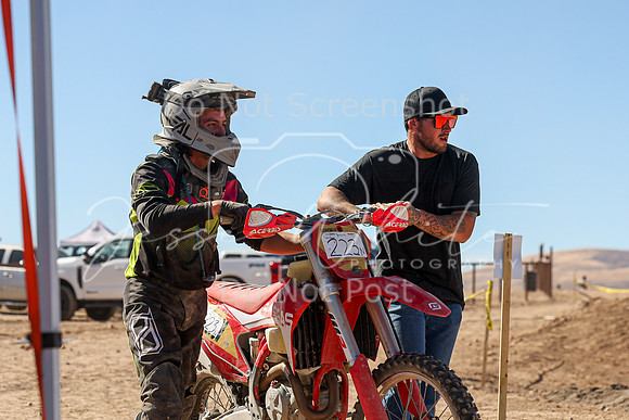 IMG_7343-223n