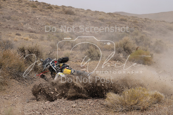 IMG_9152-99j
