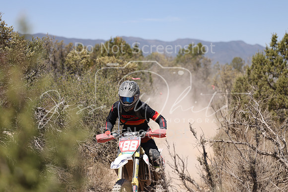 IMG_8120-x88